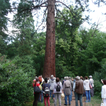 Hétvégi kiruccanás a Szarvasi Arborétum vadregényes tájain