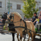 Szüreti felvonulás és borszentelés Kiskunfélegyházán