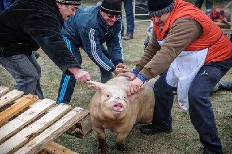 Falusi Disznóvágás Petőfiszálláson