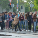 A Zöld nap évről-évre a legnagyobb buli