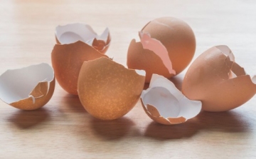 Mi mindenre jó a tojáshéj?
