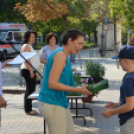 Díjazták a Virágos Félegyházáért Mozgalomban résztvevőket