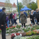 Nagy látogatottságnak örvendett a Virágünnep