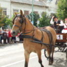 Szüreti Felvonulás Kiskunfélegyházán