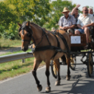 Arató fesztivál Haleszban