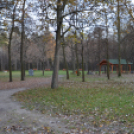 A parkerdő ősszel