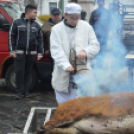 Disznóságok a városközpontban