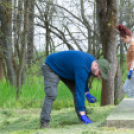 Tiszta erdő várja a Majálisra látogatókat