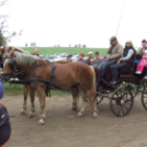 Mezgé Suli Piknik a Tangazdaságban