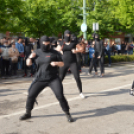 A Zöld nap évről-évre a legnagyobb buli