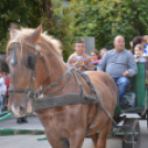 Szüreti felvonulás 2017.