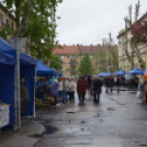 A barátságtalan idő ellenére is sokan ellátogattak a virágünnepre