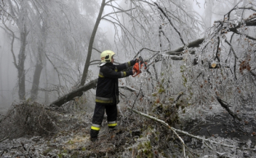 Jövő hét végére készül el a kárfelmérés az állami erdőkben