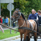 Szüreti felvonulás II.