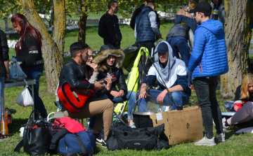 Nemcsak paprikás krumpli, hanem csicsóka is került az asztalra