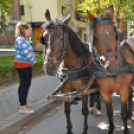 Szüreti felvonulás II.