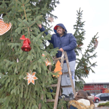 Lelkesen díszítették a fiatalok a lakótelep karácsonyfáját