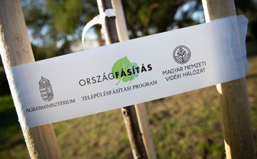 Elindult a Településfásítási Program negyedik üteme!