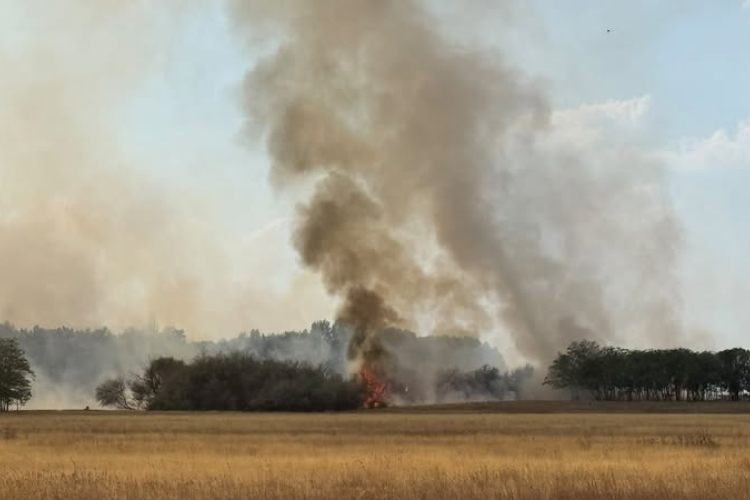 Rendkívüli tájékoztatás: Újabb erdőtűz riasztotta a tűzoltókat