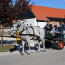 Szomszédoló a petőfiszállási Csicsergő Óvodában