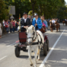 Szüreti felvonulás 2017.