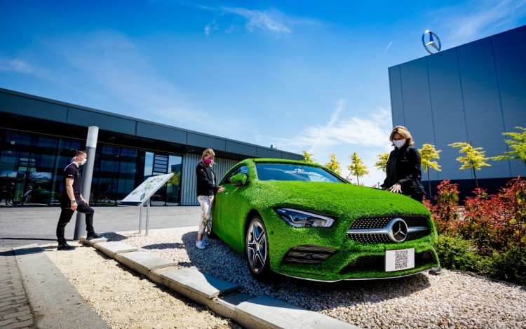 Madárbarát Munkahely díjat kapott a kecskeméti Mercedes-gyár