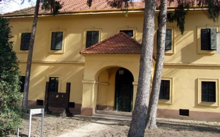 Szalay Gyula Emléknap