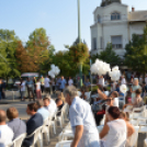 Mindenkit vár a jubileumi libafesztivál