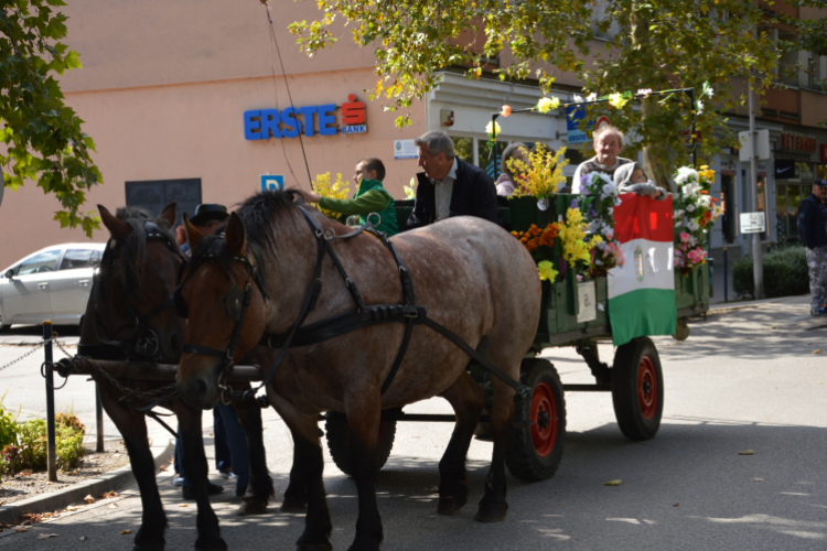 Szüreti felvonulás 2017.