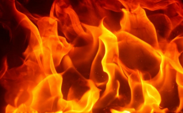 Kisteherautó égett az M5-ösnél