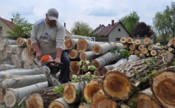 Kivágják a veszélyes fákat a Lisznyai utcában