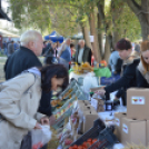 Tömegeket vonzott a Mezgé Piknik