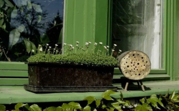 Házi készítésű méhecskehotelekkel és darázsgarázsokkal lehet segíteni a beporzó rovarokat