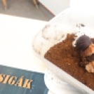 Állatbemutató a Batthyány iskolában