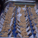 Ünnepélyes keretek között nyílt meg a Kiskun Expo