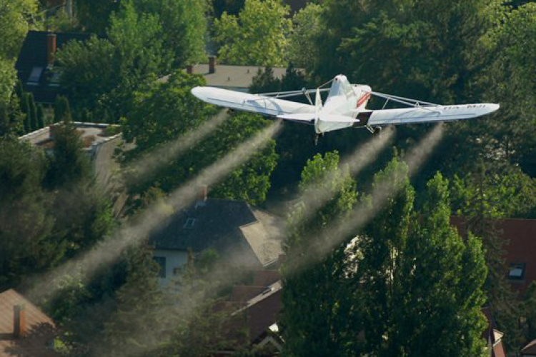 Elrendelték az első kémiai szúnyogirtást a Balatonon