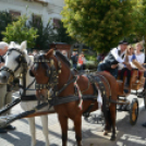 Szüreti felvonulás II.